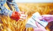 Tarımda finansman istikrarı, üretimde istikrarı beraberinde getirir