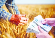 Tarımda finansman istikrarı, üretimde istikrarı beraberinde getirir