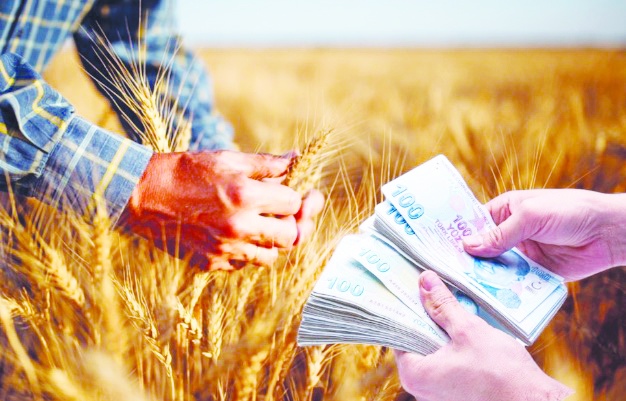 Tarımda finansman istikrarı, üretimde istikrarı beraberinde getirir