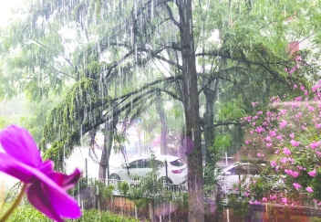 Salı günü yağmur geliyor