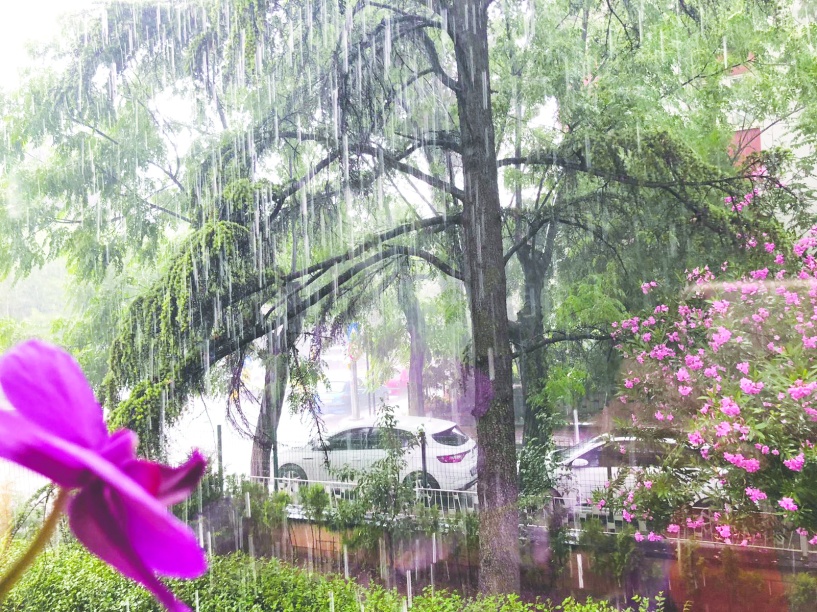 Salı günü yağmur geliyor