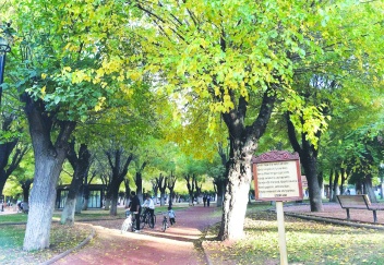 Diğerleri mevsim sonbahar sanattır