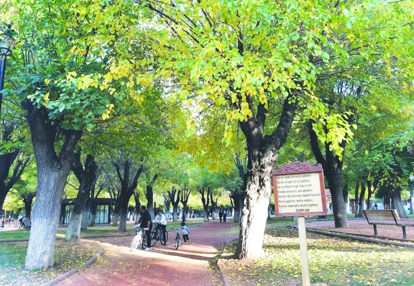 Diğerleri mevsim sonbahar sanattır