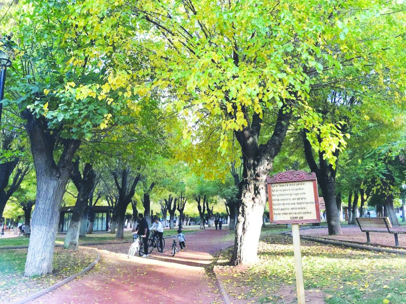 Diğerleri mevsim sonbahar sanattır