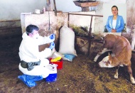 İnsanın sağlığı, hayvan ve çevrenin  birlikte korunmasıyla mümkün