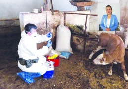 İnsanın sağlığı, hayvan ve çevrenin  birlikte korunmasıyla mümkün