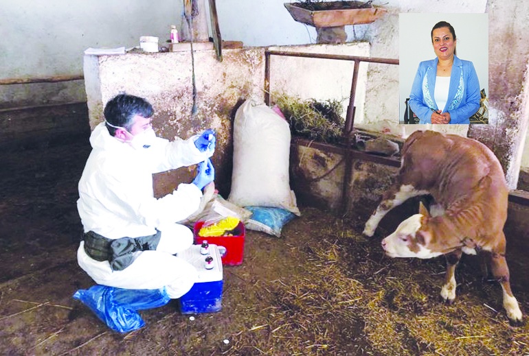 İnsanın sağlığı, hayvan ve çevrenin  birlikte korunmasıyla mümkün