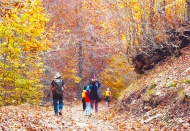 Huzurlu Yaylası sonbahara büründü