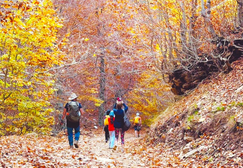 Huzurlu Yaylası sonbahara büründü