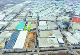 Tasfiye edilen ve kapanan şirket sayısındaki artış sürüyor