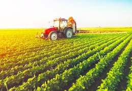 Tarımsal girdi enflasyonu arttı