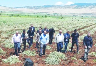 Çiftçinin yüzde 90’ı bankalar ve Tarım  Kredi Kooperatiflerine borçlu durumda