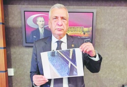 Üvezler ağaçların yapraklarını tahrip ediyor