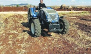 Çiftçi, hububat ekimi  konusunda kararsız