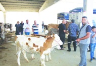 Sektörün hareketlenmesi için  kredi faiz oranları düşürülmeli