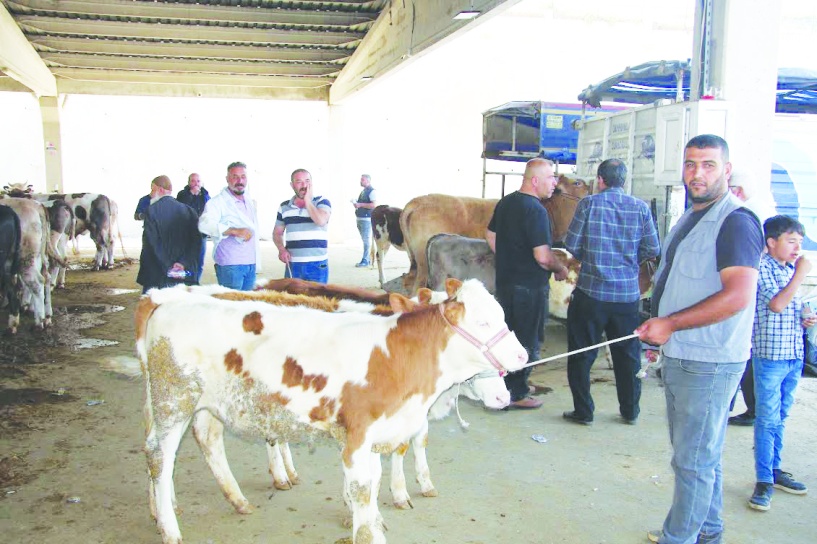 Sektörün hareketlenmesi için  kredi faiz oranları düşürülmeli