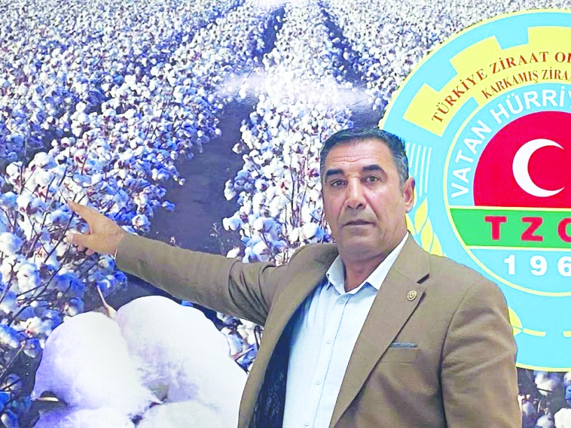 Fiyatlar güncellenmezse önümüzdeki  sene ekilecek pamuk alanı azalacak