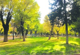 Kuraklık çok canımızı yakacak