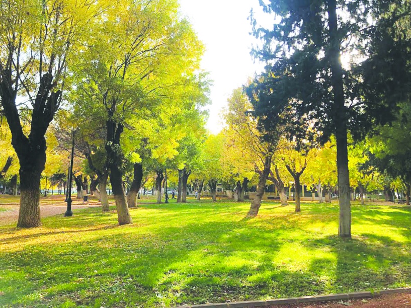 Kuraklık çok canımızı yakacak