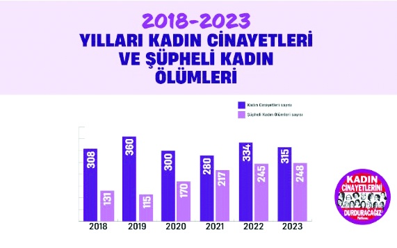2025'in ilk 10 ayında 217 kadın öldürüldü!