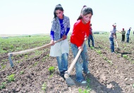 15-17 yaş grubundaki her dört çocuktan biri çalışıyor