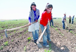 15-17 yaş grubundaki her dört çocuktan biri çalışıyor