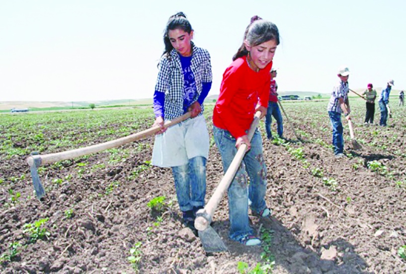 15-17 yaş grubundaki her dört çocuktan biri çalışıyor