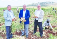 Çiftçi elektrik şartelini  indirmeye korkuyor