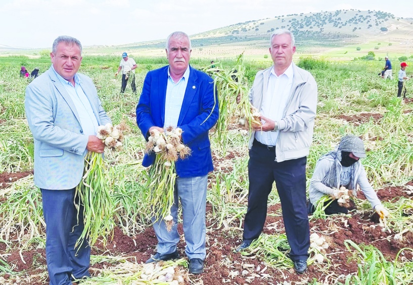 Çiftçi elektrik şartelini  indirmeye korkuyor