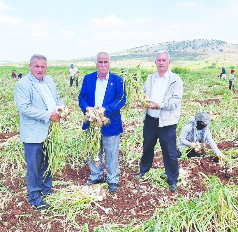 Çiftçi elektrik şartelini  indirmeye korkuyor
