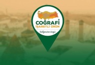 Uluslararası kadın buluşçu  oranında birinci sırada