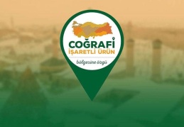 Uluslararası kadın buluşçu  oranında birinci sırada