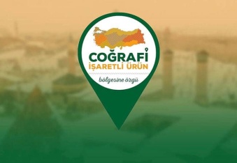 Uluslararası kadın buluşçu  oranında birinci sırada