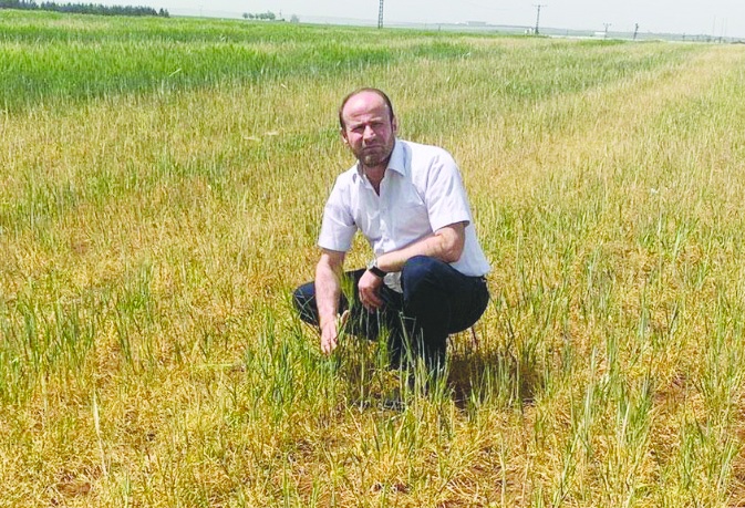 Kuraklık başta olmak üzere bölgenin  tarımsal anlamda sorunları var