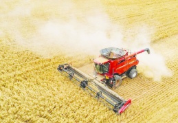 On iki aylık ortalamalara  göre artış yüzde 32,30