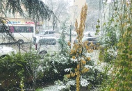 Kar yağışı nedeniyle taşımalı eğitime 1 gün ara verildi