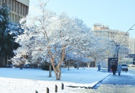 Ortaya kartpostallık görüntüler çıktı, çocuklar doyasıya eğlendi