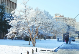 Ortaya kartpostallık görüntüler çıktı, çocuklar doyasıya eğlendi