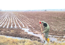 Hububat çimlendirme için gerekli su  ve sulama desteği sağlanmaya başlandı