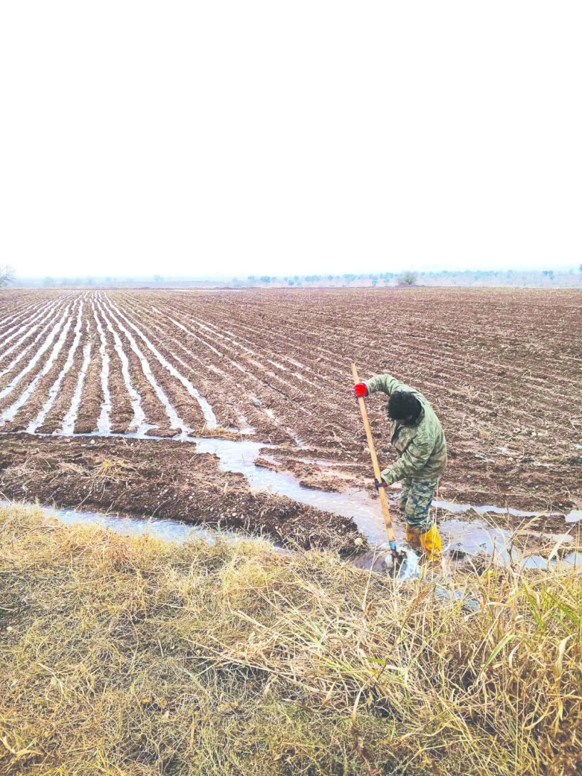 Hububat çimlendirme için gerekli su  ve sulama desteği sağlanmaya başlandı