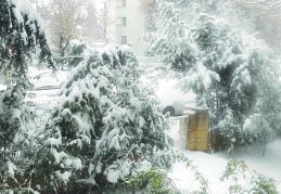 Antep çok yıllardan beri ilk kez yeni yıla kar altında girme keyfi yaşıyor