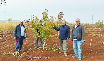 2025 yılı çiftçiler ve tarım  açısından kapkara bir yıl oldu