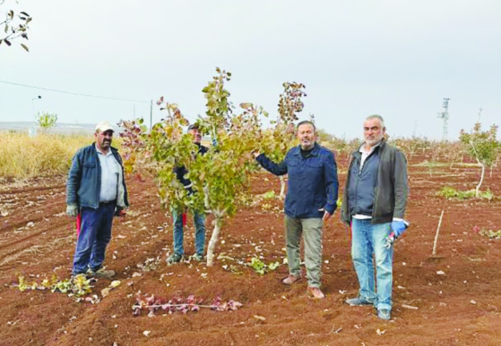 2025 yılı çiftçiler ve tarım  açısından kapkara bir yıl oldu