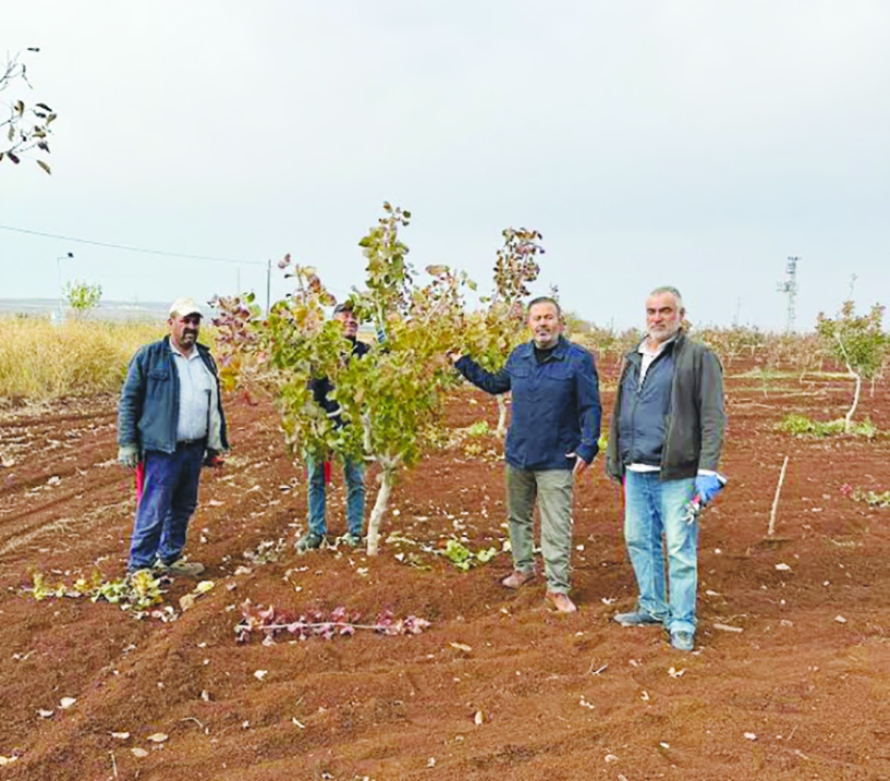 2025 yılı çiftçiler ve tarım  açısından kapkara bir yıl oldu