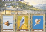 Antep’in kuşları sergilenecek