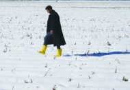 Çiftçimizin geleceğe dair  umutları yeniden yeşerdi