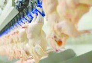 Beyaz et yüzde 25 zamlanacak