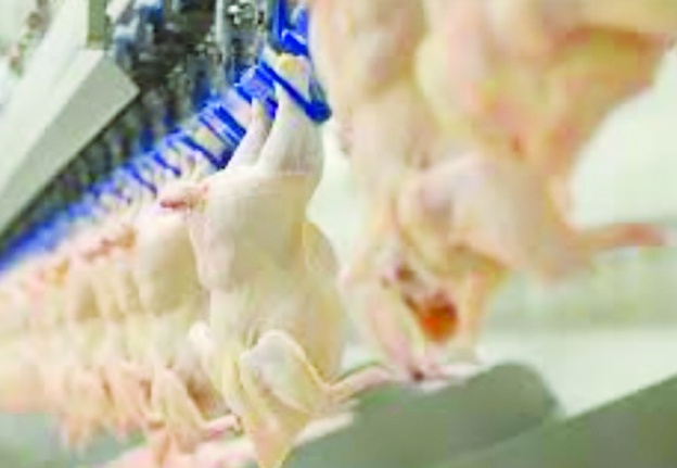 Beyaz et yüzde 25 zamlanacak