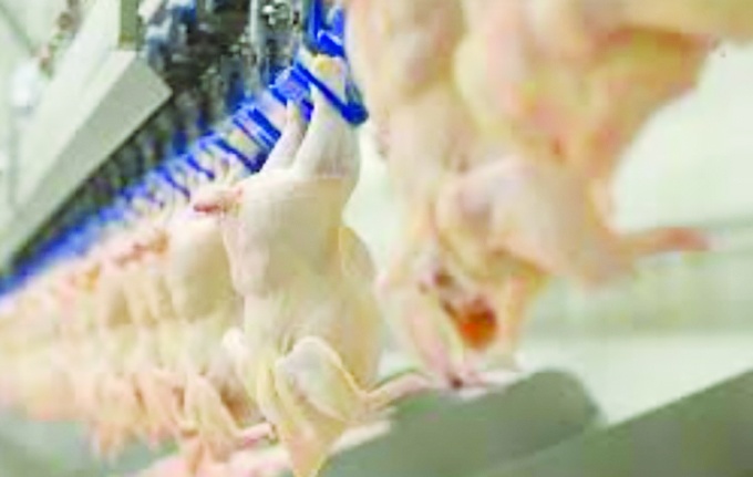 Beyaz et yüzde 25 zamlanacak