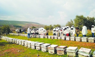 Yağışlar arıcıların da yüzünü güldürdü